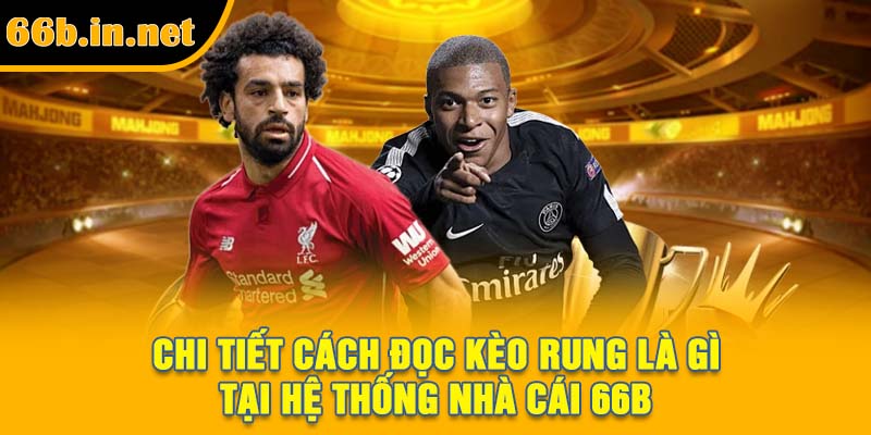 Chi tiết cách đọc kèo rung là gì tại hệ thống nhà cái 66B