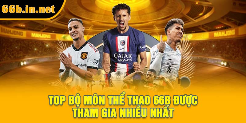 Top bộ môn thể thao 66B được tham gia nhiều nhất